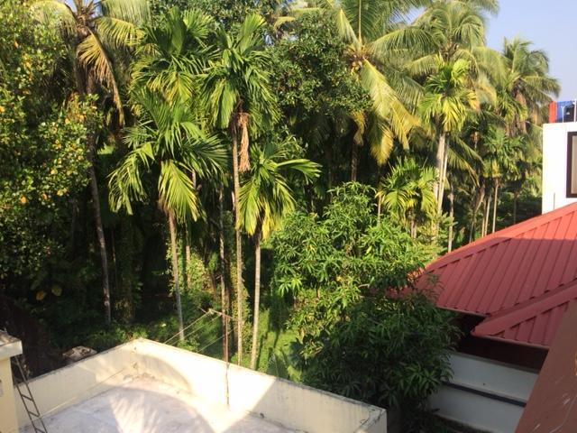 Greenview Homestay Kochi Zewnętrze zdjęcie